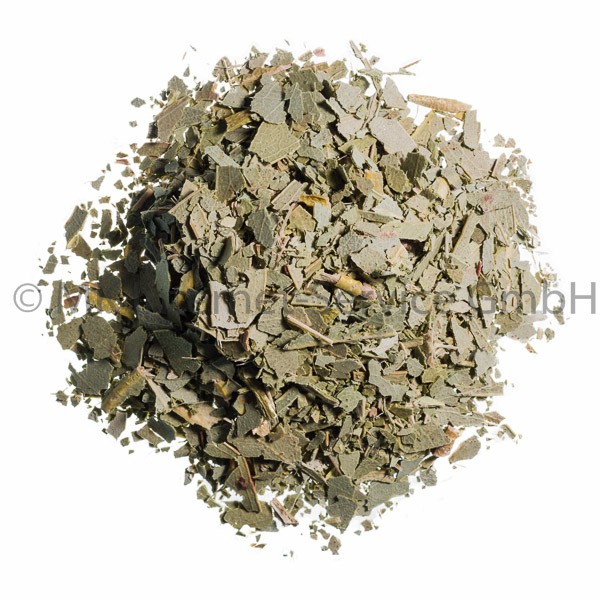 Eukalyptusblätter kbA