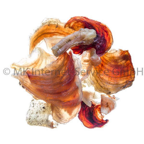 Blut-Tragant (Akazienharz)