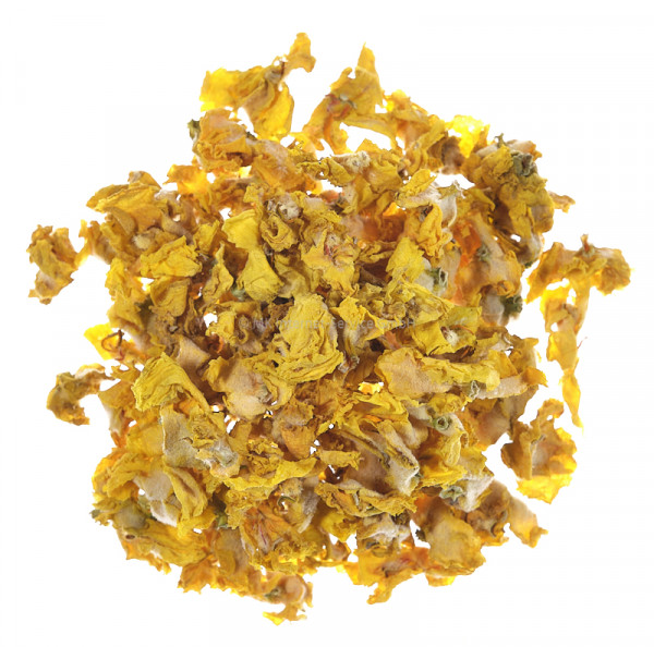 Königskerzenblüten