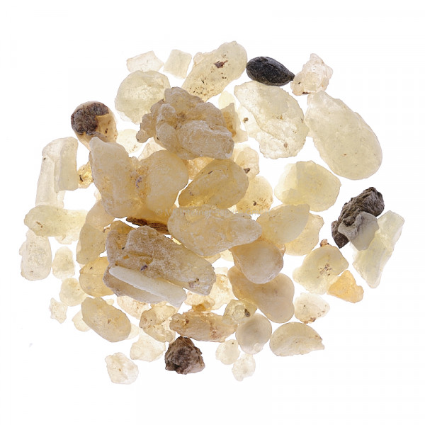 Weihrauch Dalzielli weiß Afrika (first choice)