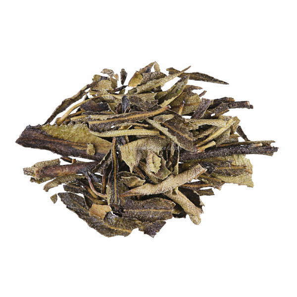 Yerba Santa (Heiliges Kraut)