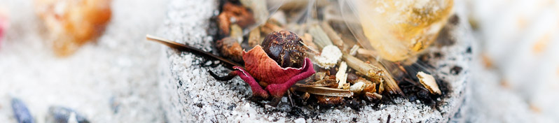 Informationen rund um das Thema R&auml;uchern